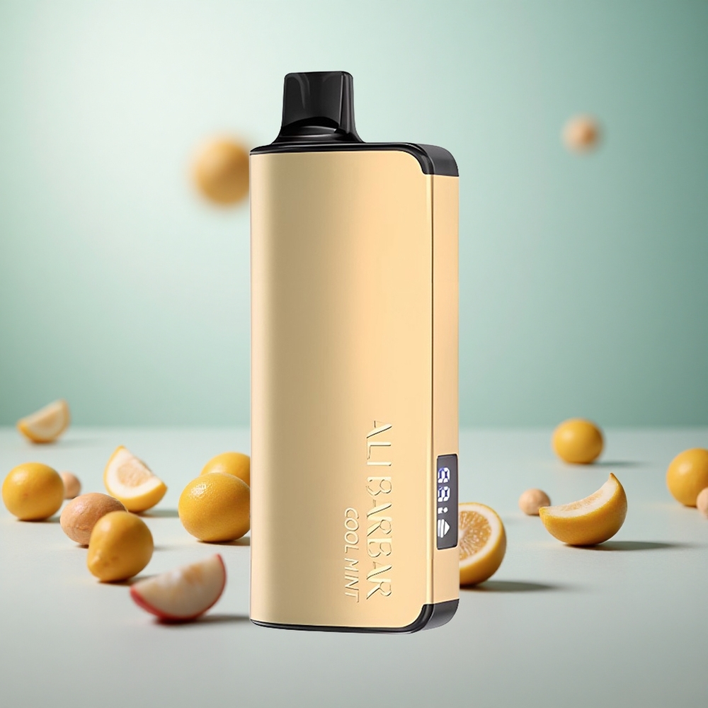 Alibarbar Ingot 9000 Puffs Disposable Vape Hladna Meta Vape Slovenia 22ml E-tekočina 2350mAh Baterija